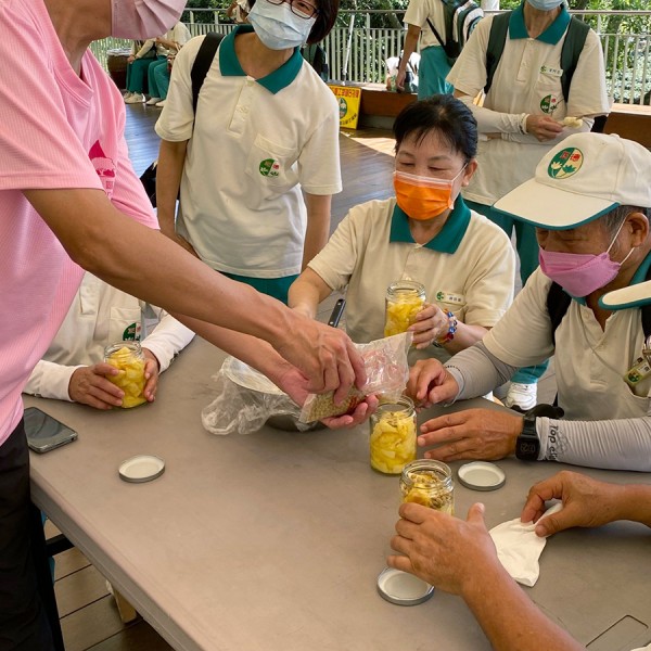 鳳梨六覺DIY體驗